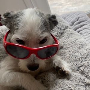 Meet your Posher, Sabrina